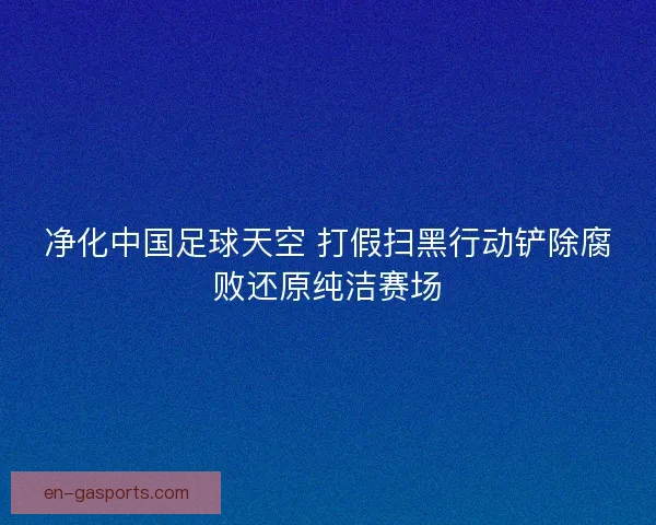 净化中国足球天空 打假扫黑行动铲除腐败还原纯洁赛场 净化中国足球天空 打假扫黑行动铲除腐败还原纯洁赛场